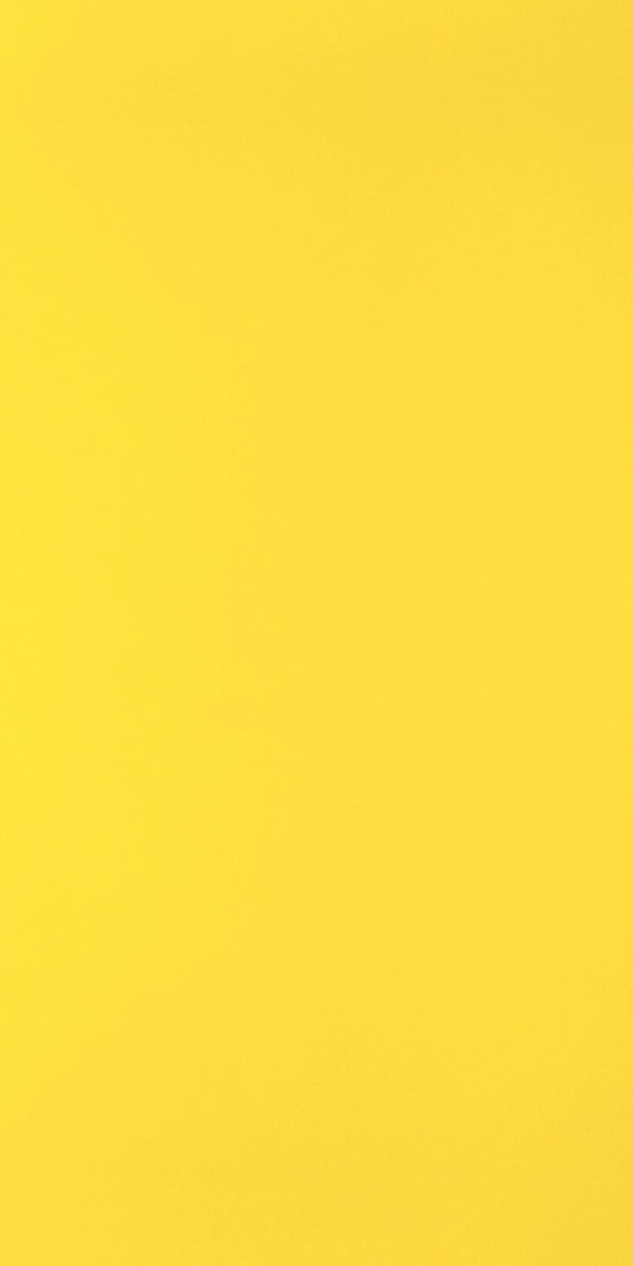Divine Yellow