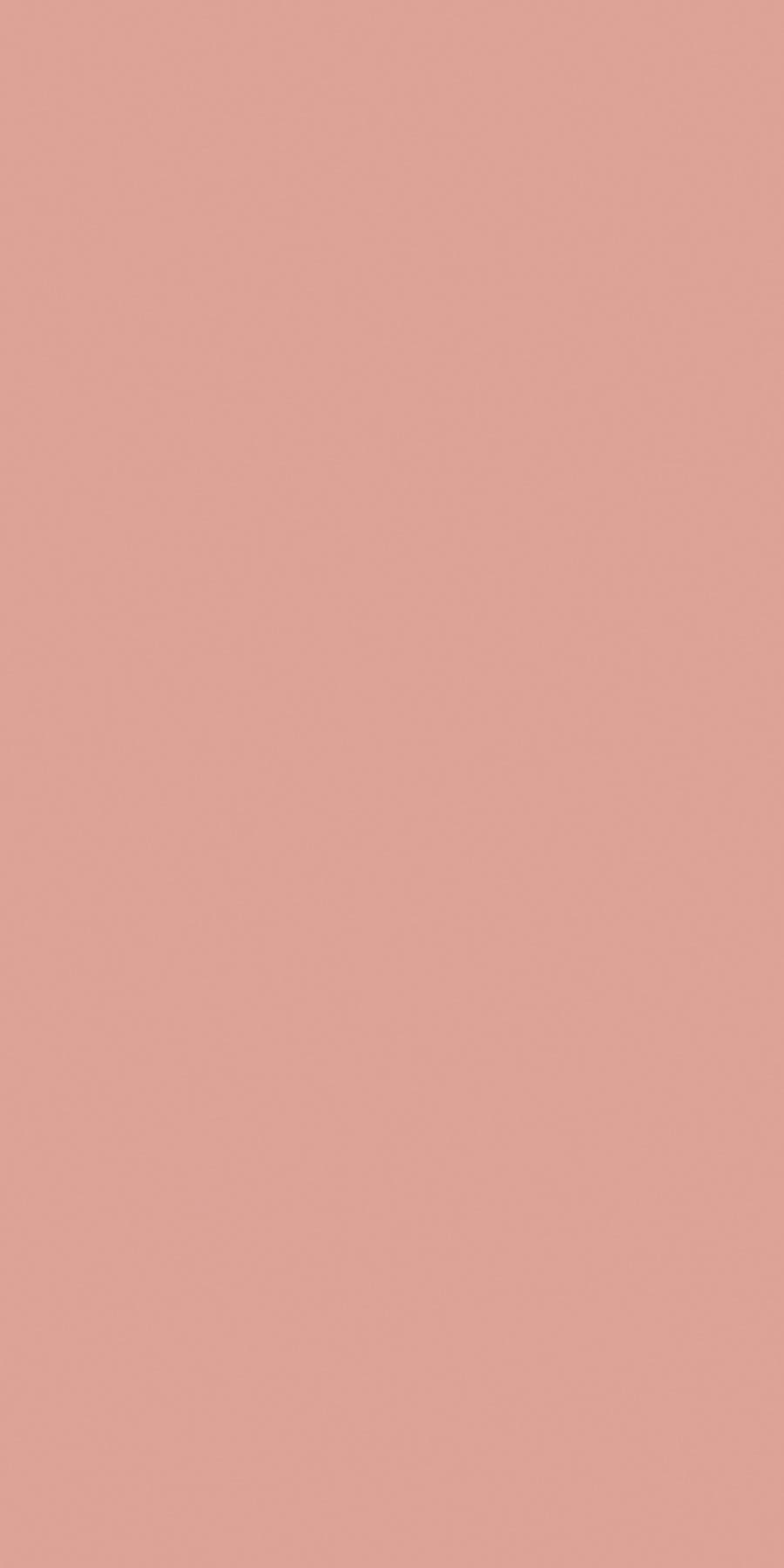 Blush Pink