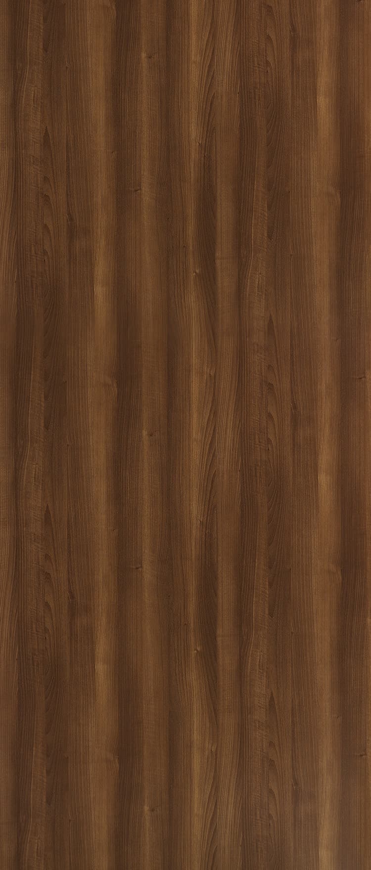 American Walnut