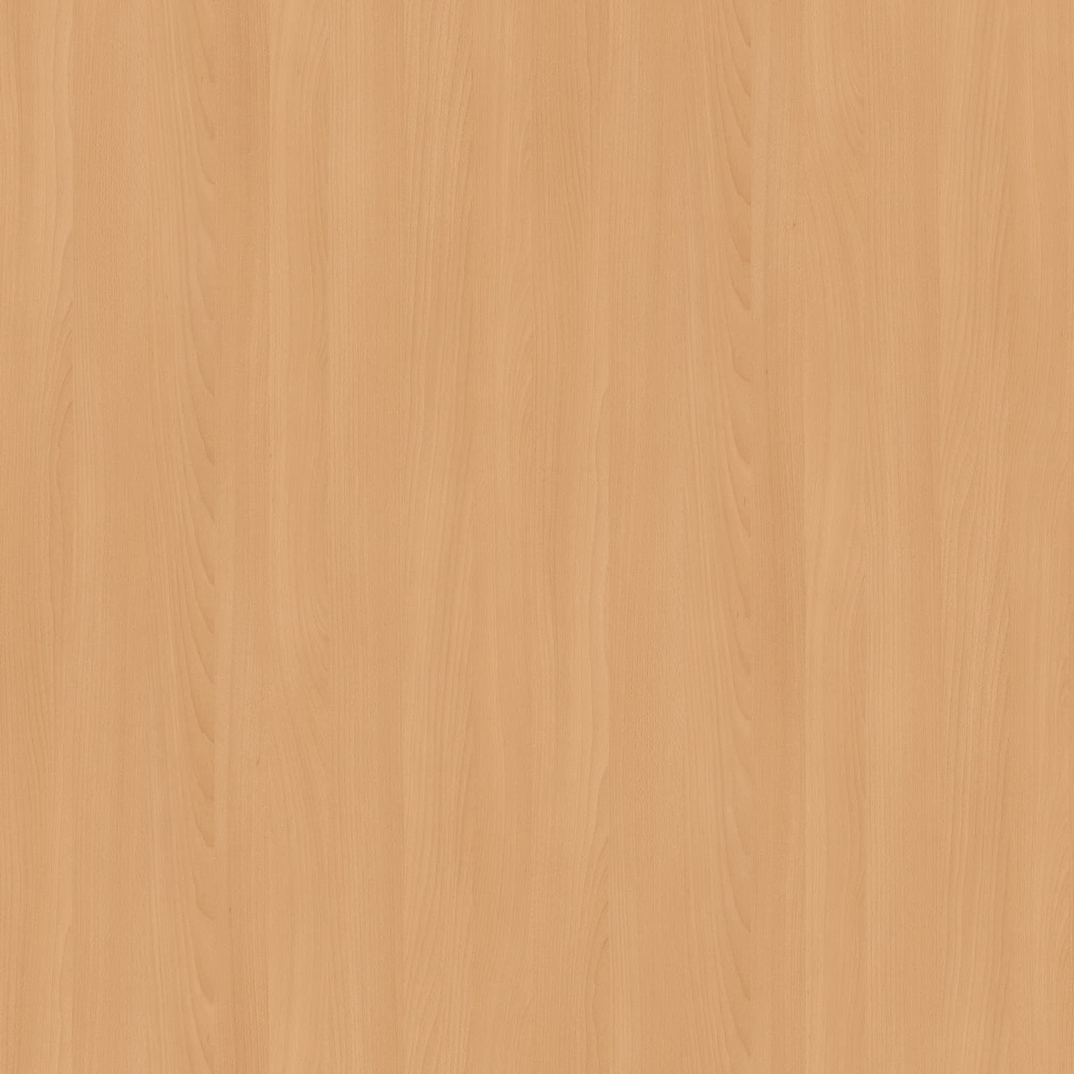 Altmuehl Beech