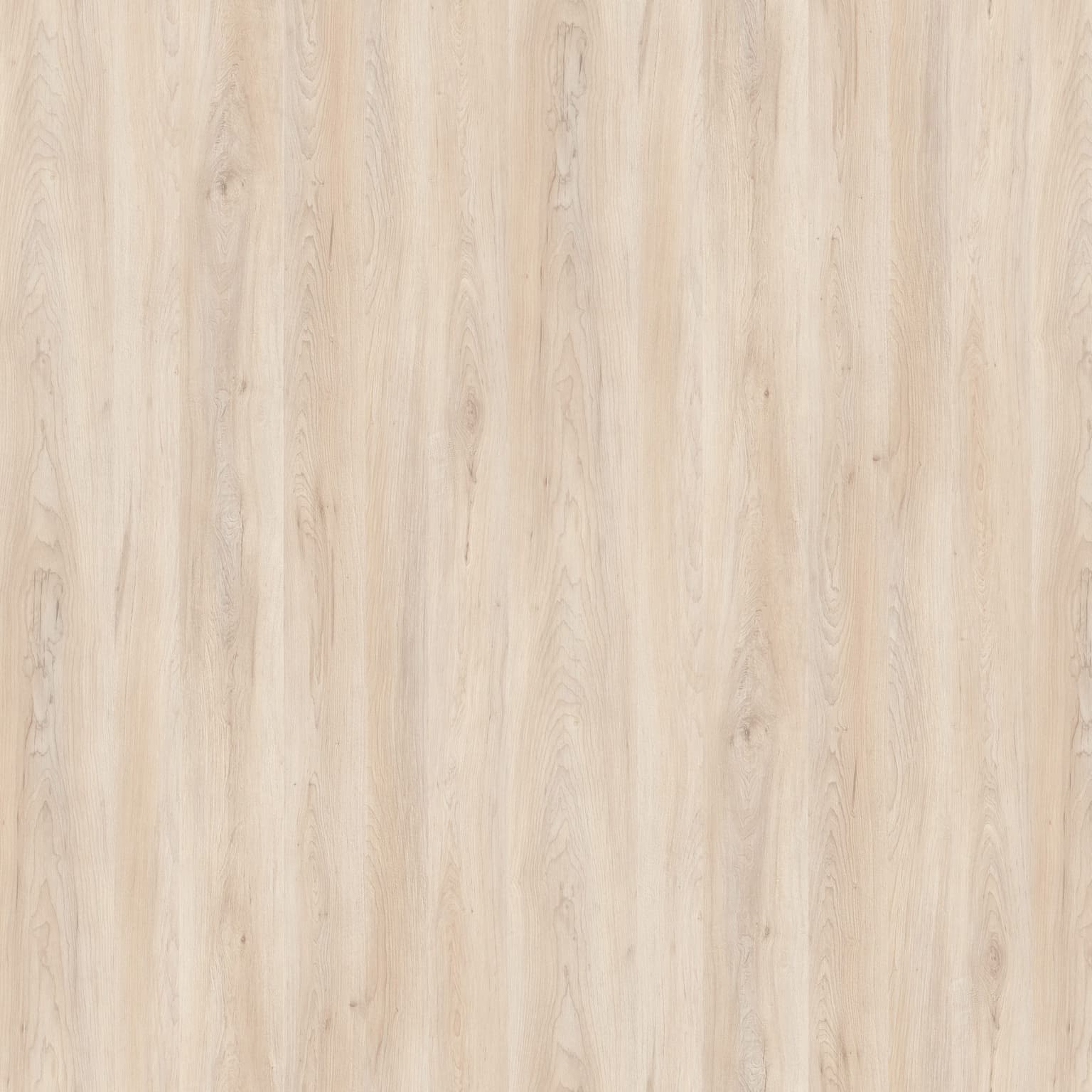 Arlington Maple