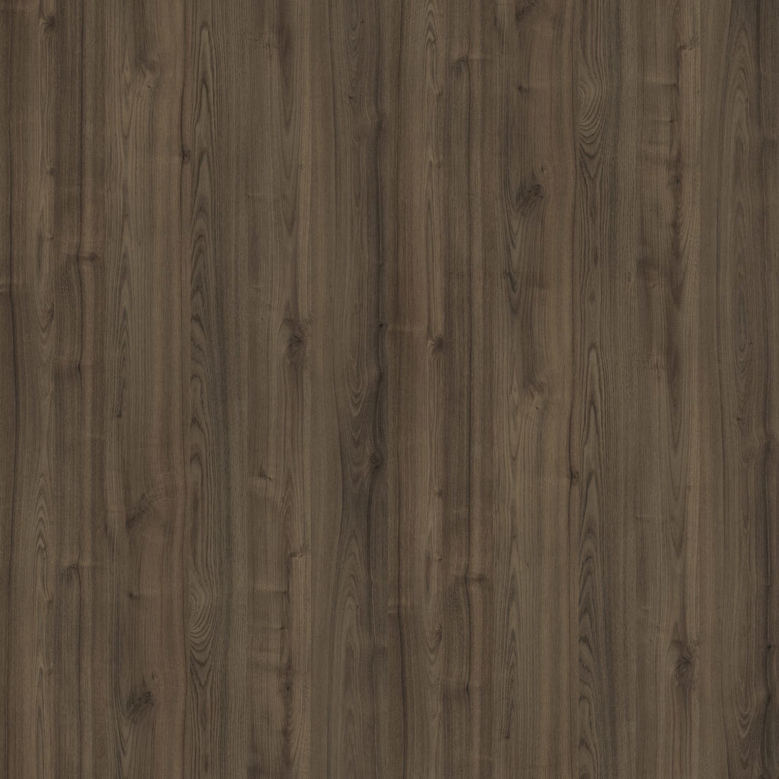 Chestnut