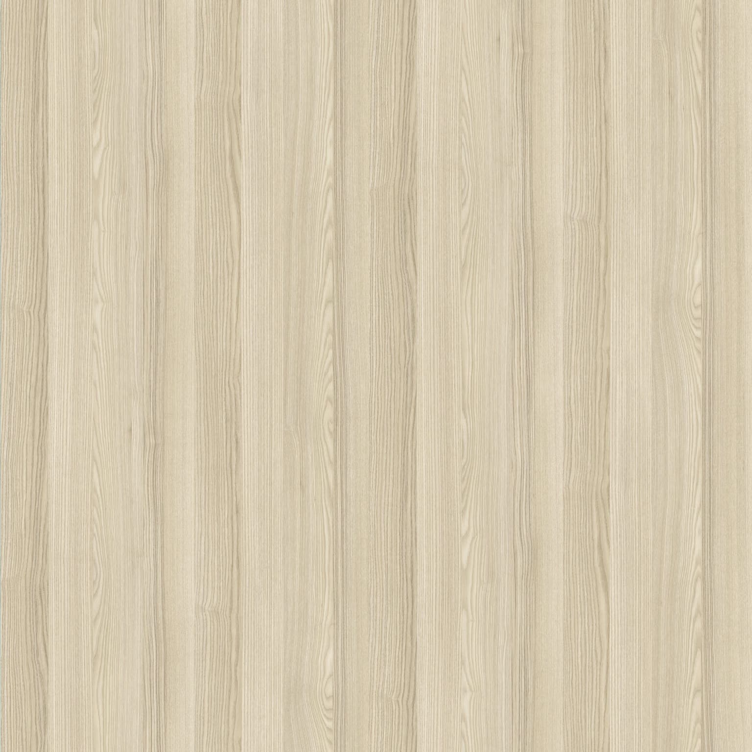 Acacia